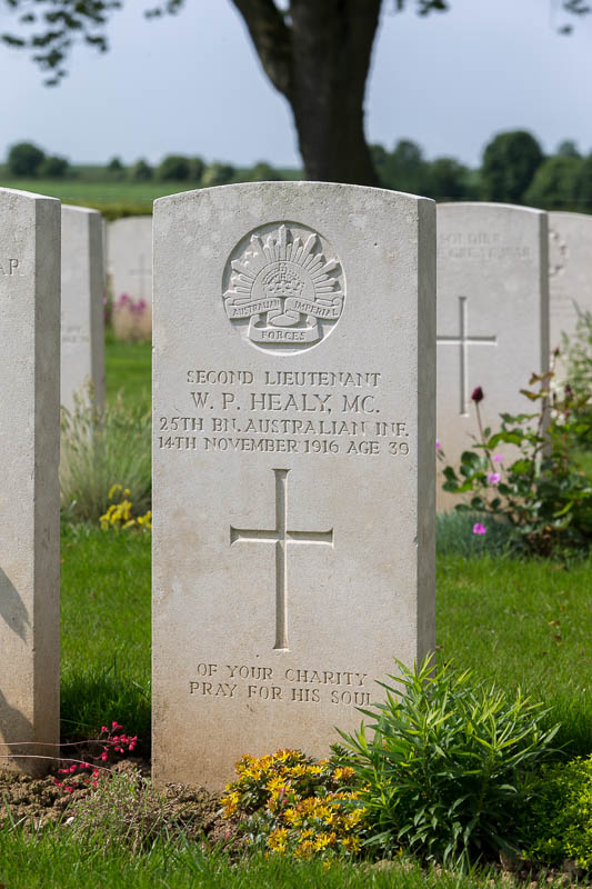 William Patrick Healy | New Zealand War Graves Project